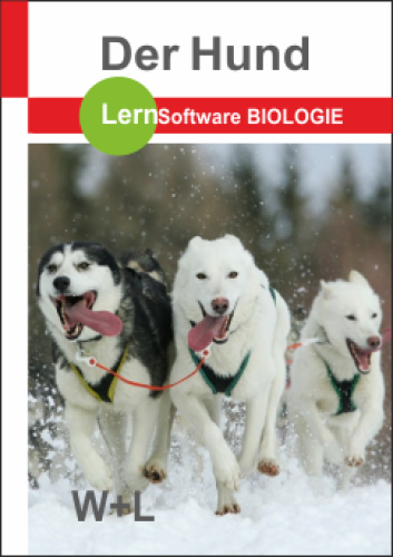 Der Hund